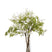 Shades 4 Seasons White Bellflower Single Stem - Lifelike GREEN PLASTIC Shades 4 Seasons