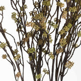 Shades 4 Seasons Autumn Bloom Filler Single Stem Shades 4 Seasons