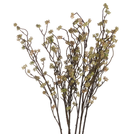 Shades 4 Seasons Autumn Bloom Filler Single Stem Shades 4 Seasons