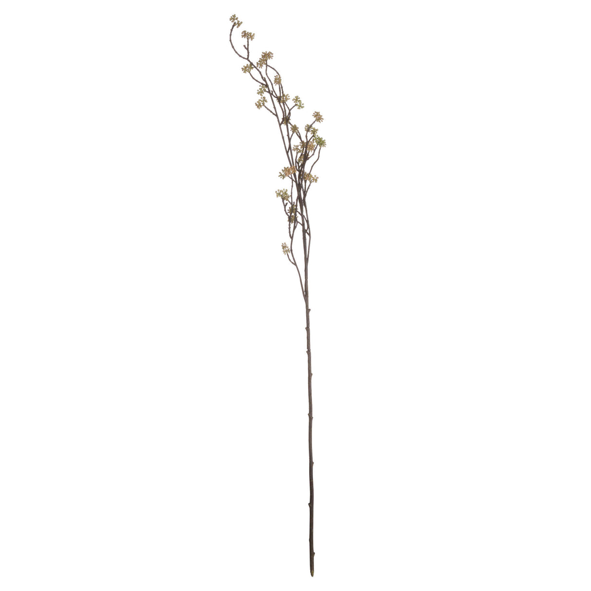 Shades 4 Seasons Autumn Bloom Filler Single Stem Shades 4 Seasons