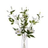 Shades 4 Seasons Florida Clematis Stem - Lifelike Shades 4 Seasons