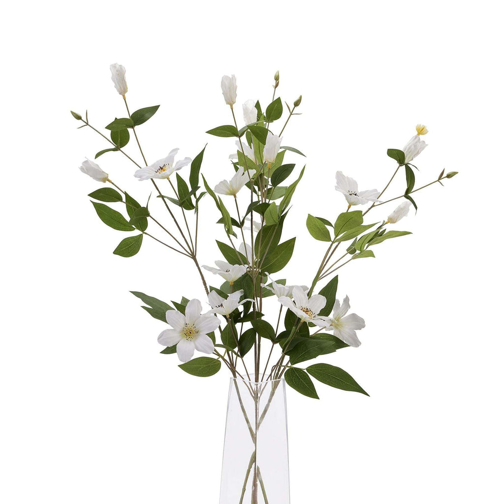 Shades 4 Seasons Florida Clematis Stem - Lifelike Shades 4 Seasons