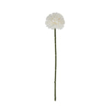 Shades 4 Seasons Short Chrysanthemum - Single Stem Shades 4 Seasons