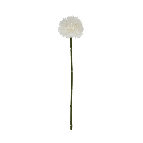 Shades 4 Seasons Short Chrysanthemum - Single Stem Shades 4 Seasons