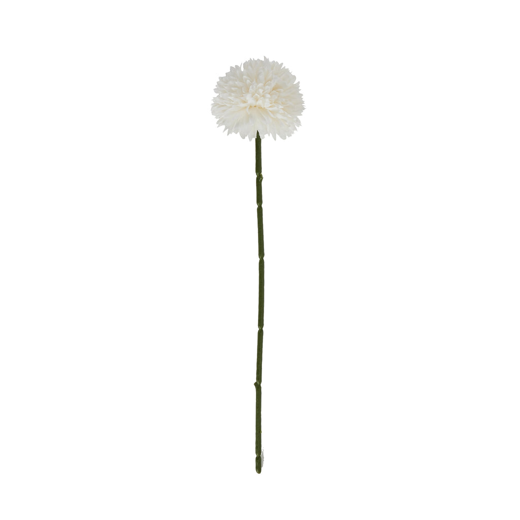 Shades 4 Seasons Short Chrysanthemum - Single Stem Shades 4 Seasons