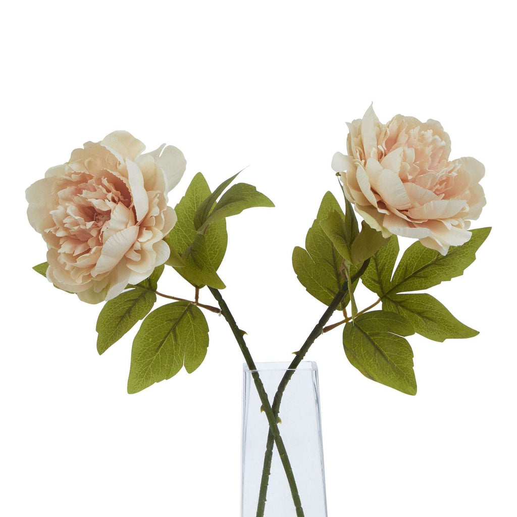 The Natural Garden Collection Blush Peony Shades 4 Seasons