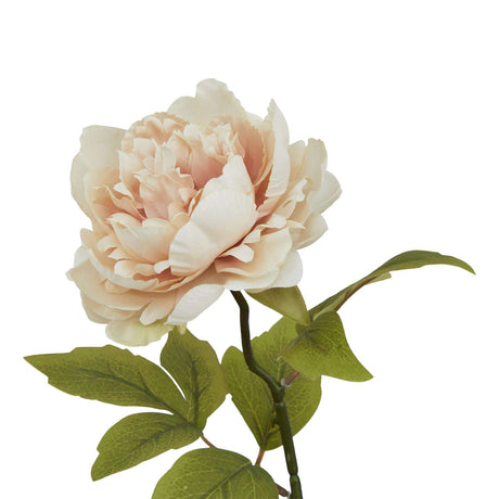 The Natural Garden Collection Blush Peony Shades 4 Seasons