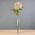 The Natural Garden Collection Blush Peony PINK PLASTIC Shades 4 Seasons