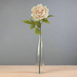 The Natural Garden Collection Blush Peony PINK PLASTIC Shades 4 Seasons