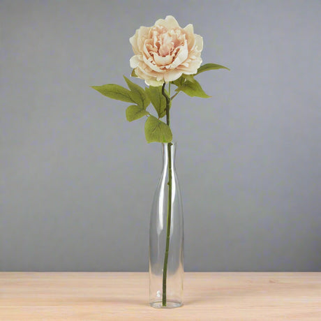 The Natural Garden Collection Blush Peony PINK PLASTIC Shades 4 Seasons