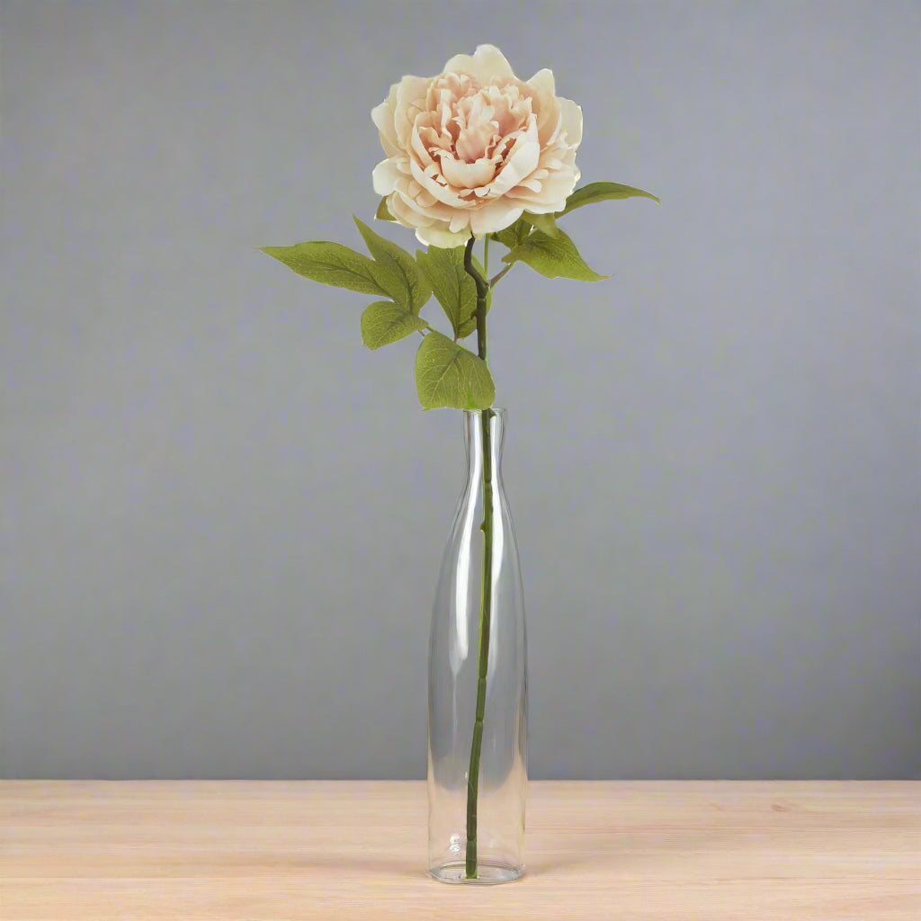 The Natural Garden Collection Blush Peony PINK PLASTIC Shades 4 Seasons