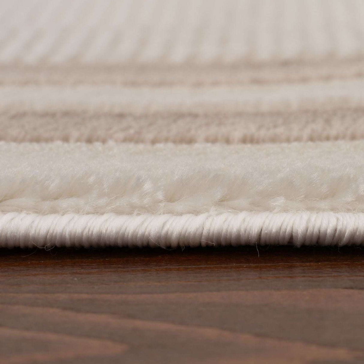 Close-up of a soft Bordered Rug showcasing its plush texture and detailed edging