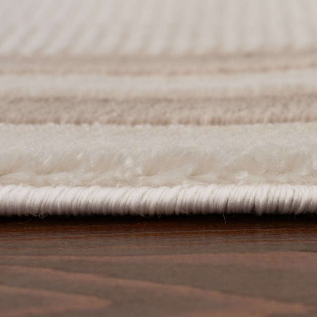 Close-up of a soft Bordered Rug showcasing its plush texture and detailed edging
