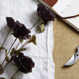 Shades 4 Seasons Black Poppy Stem - Lifelike Single Stem Shades 4 Seasons
