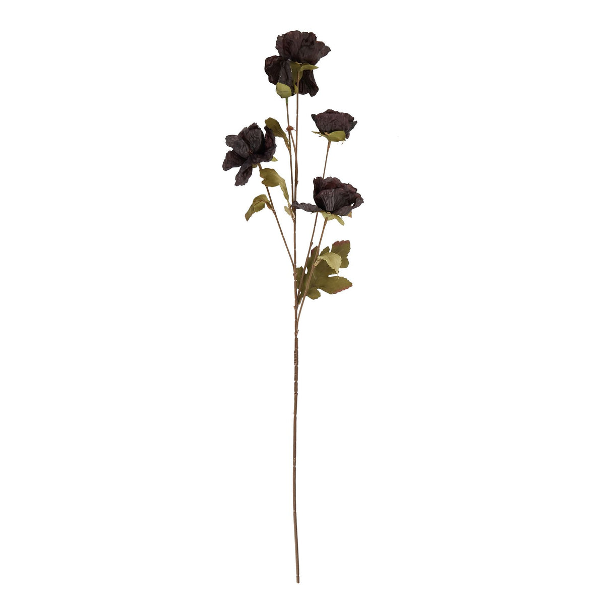 Shades 4 Seasons Black Poppy Stem - Lifelike Single Stem Shades 4 Seasons