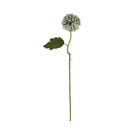 Pale Green Blue Short Chrysanthemum Shades 4 Seasons
