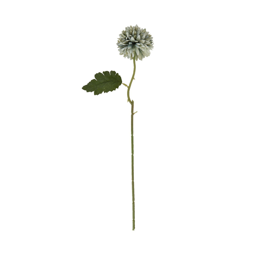 Pale Green Blue Short Chrysanthemum Shades 4 Seasons