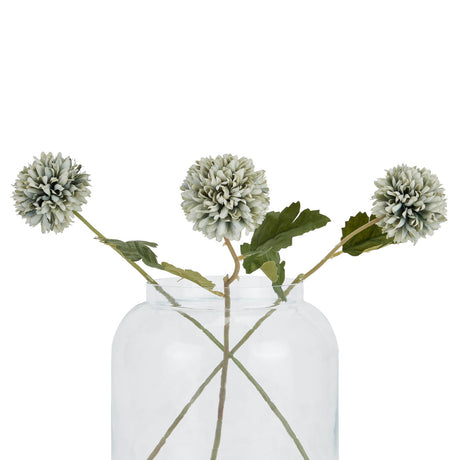 Pale Green Blue Short Chrysanthemum Shades 4 Seasons