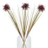Burgundy Aster Spider Chrysanthemum Stem Shades 4 Seasons