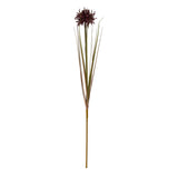 Burgundy Aster Spider Chrysanthemum Stem Shades 4 Seasons