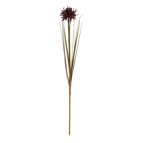 Burgundy Aster Spider Chrysanthemum Stem Shades 4 Seasons