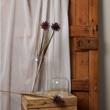 Burgundy Aster Spider Chrysanthemum Stem Shades 4 Seasons