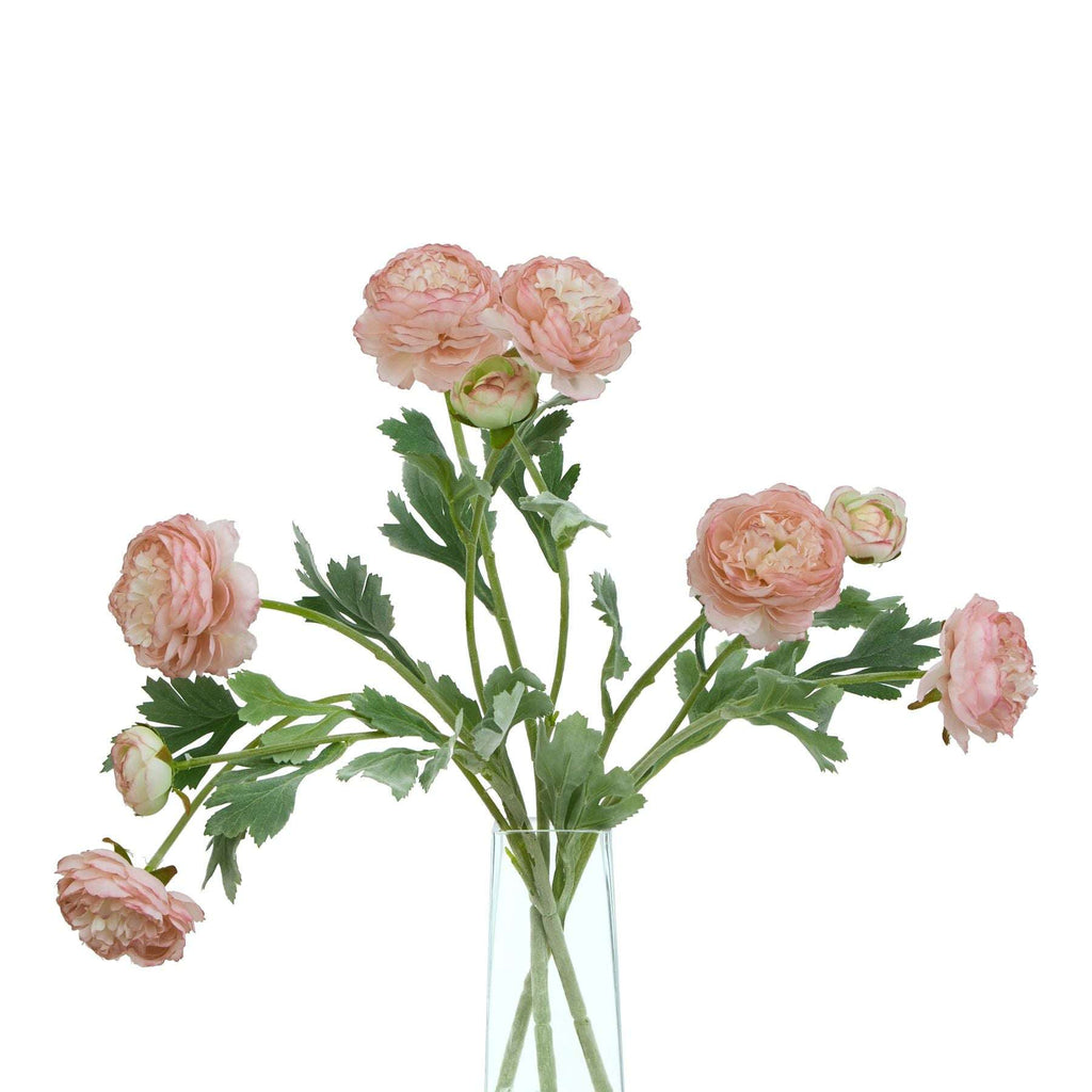The Natural Garden Collection Pink Ranunculus Shades 4 Seasons