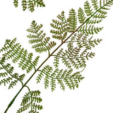 The Natural Garden Collection Large Bracken Fern Spray Shades 4 Seasons