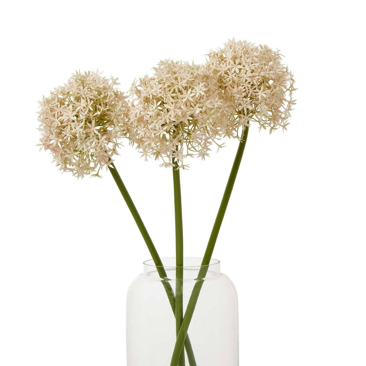 Shades 4 Seasons Allium Stem - Elegant Home Decor Shades 4 Seasons