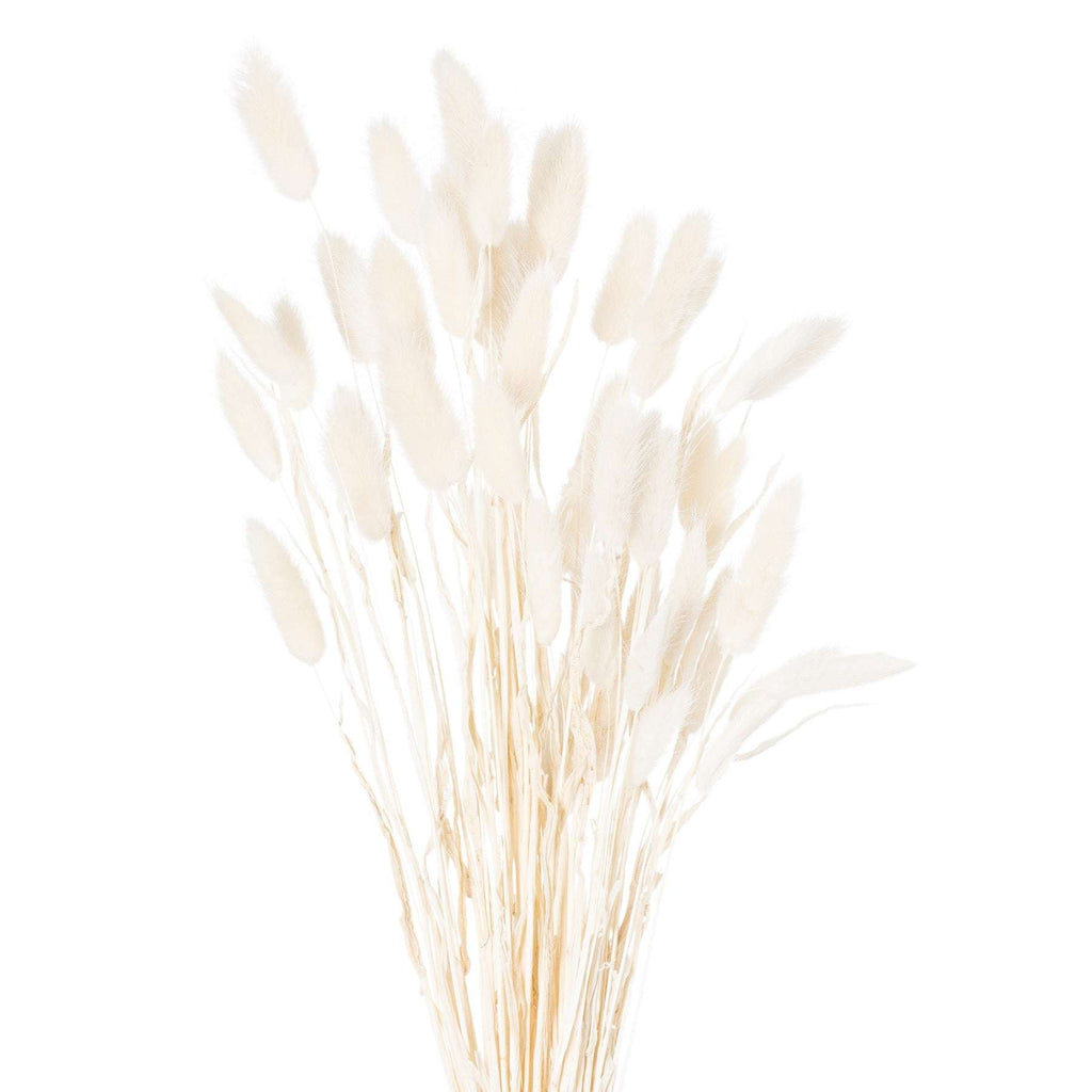 Shades 4 Seasons Bunny Tail Bunch Coastal Decor Default Title Shades 4 Seasons