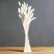 Shades 4 Seasons Bunny Tail Bunch Coastal Decor Shades 4 Seasons