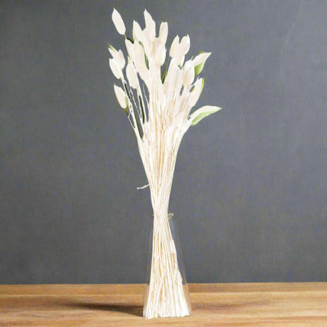 Shades 4 Seasons Bunny Tail Bunch Coastal Decor Shades 4 Seasons