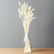 Dried Natural Bunny Tail Bunch Of 40 Shades 4 Seasons