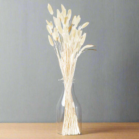 Dried Natural Bunny Tail Bunch Of 40 Shades 4 Seasons