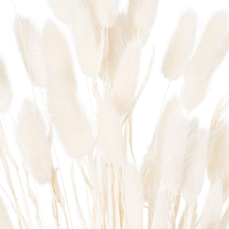 Shades 4 Seasons Bunny Tail Bunch Coastal Decor Shades 4 Seasons