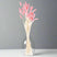 Dried Pale Pink Bunny Tail Bunch Of 40 PINK Shades 4 Seasons