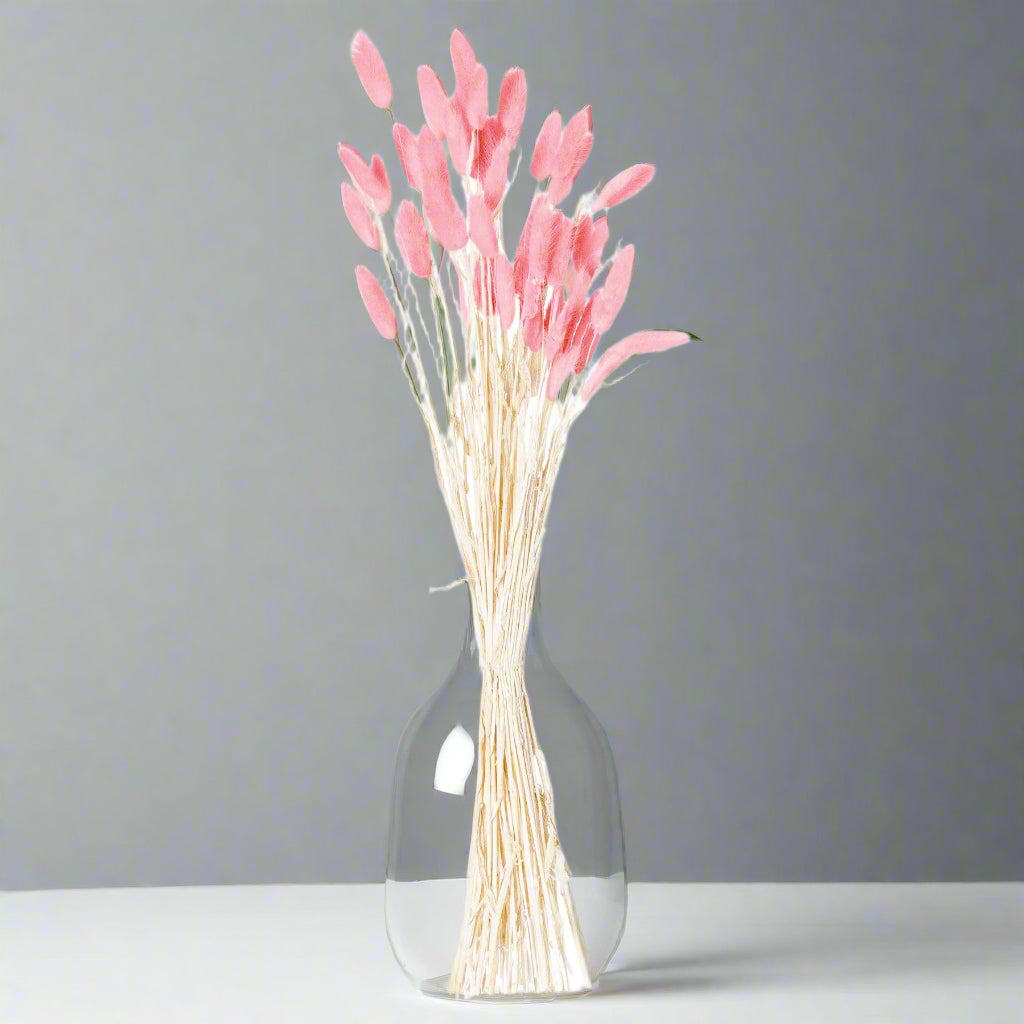 Dried Pale Pink Bunny Tail Bunch Of 40 PINK Shades 4 Seasons