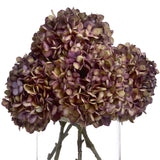 Shades 4 Seasons Burgundy Hydrangea Autumn Stem Shades 4 Seasons