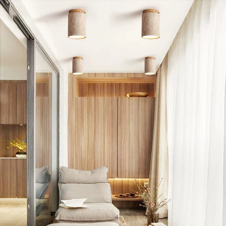 Stylish Nisu Home Ceiling Lamp in modern living room with wooden decor and soft lighting