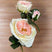 The Natural Garden Collection Pink Charity Rose PINK PLASTIC Shades 4 Seasons