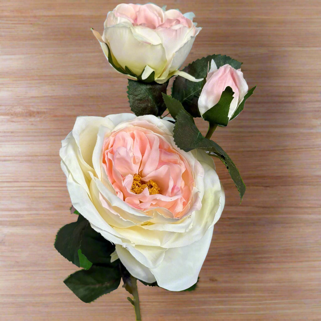 The Natural Garden Collection Pink Charity Rose PINK PLASTIC Shades 4 Seasons