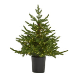 Potted Christmas Tree with Warm White Lights for Festive Home Decor