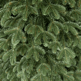Close-up of a lush Widdop Christmas Tree with realistic green branches