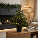 Beautifully lit Christmas Tree in a modern living room setting with elegant decor