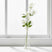 Shades 4 Seasons Clematis Spray for Stylish Home Decor CREAM PLASTIC Shades 4 Seasons