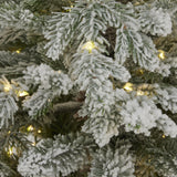 Frosted Christmas Tree branches adorned with soft warm white lights for festive decoration