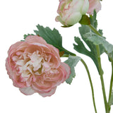 The Natural Garden Collection Pink Ranunculus Shades 4 Seasons