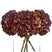 Shades 4 Seasons Coffee Hydrangea Autumn Stem RED PLASTIC Shades 4 Seasons