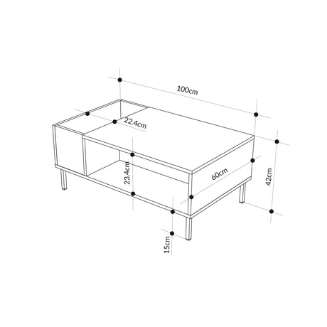 Decortie Coffee Table with Modern Design and Storage Dimensions 100cm x 60cm x 42cm