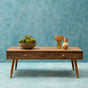 Orsina Coffee Table with Two Drawers and Decorative Accents on a Blue Background